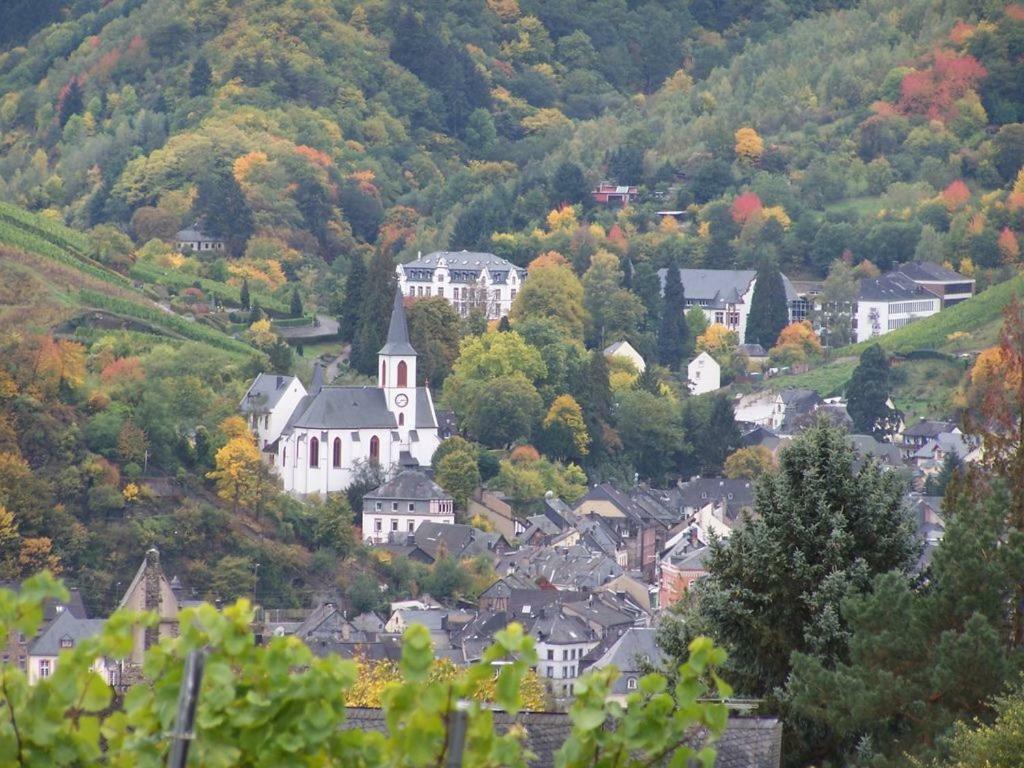 Ferienwohnung Daniela Traben-Trarbach Luaran gambar
